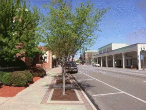 This is one of 38 trees beside Market Street that will be illuminated at a cost of $2,974 per tree or $113,000 for the total project. Other downtown needs, including paving and sidewalk repairs were rejected. JoCoReport.com Photo 