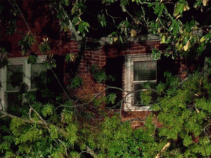 Simmons-Street-Storm-Damage-Inside