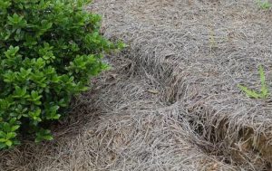 Erosion in the Creekside community in Clayton