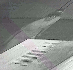 Selma-PD-Car-Break-in-Inside
