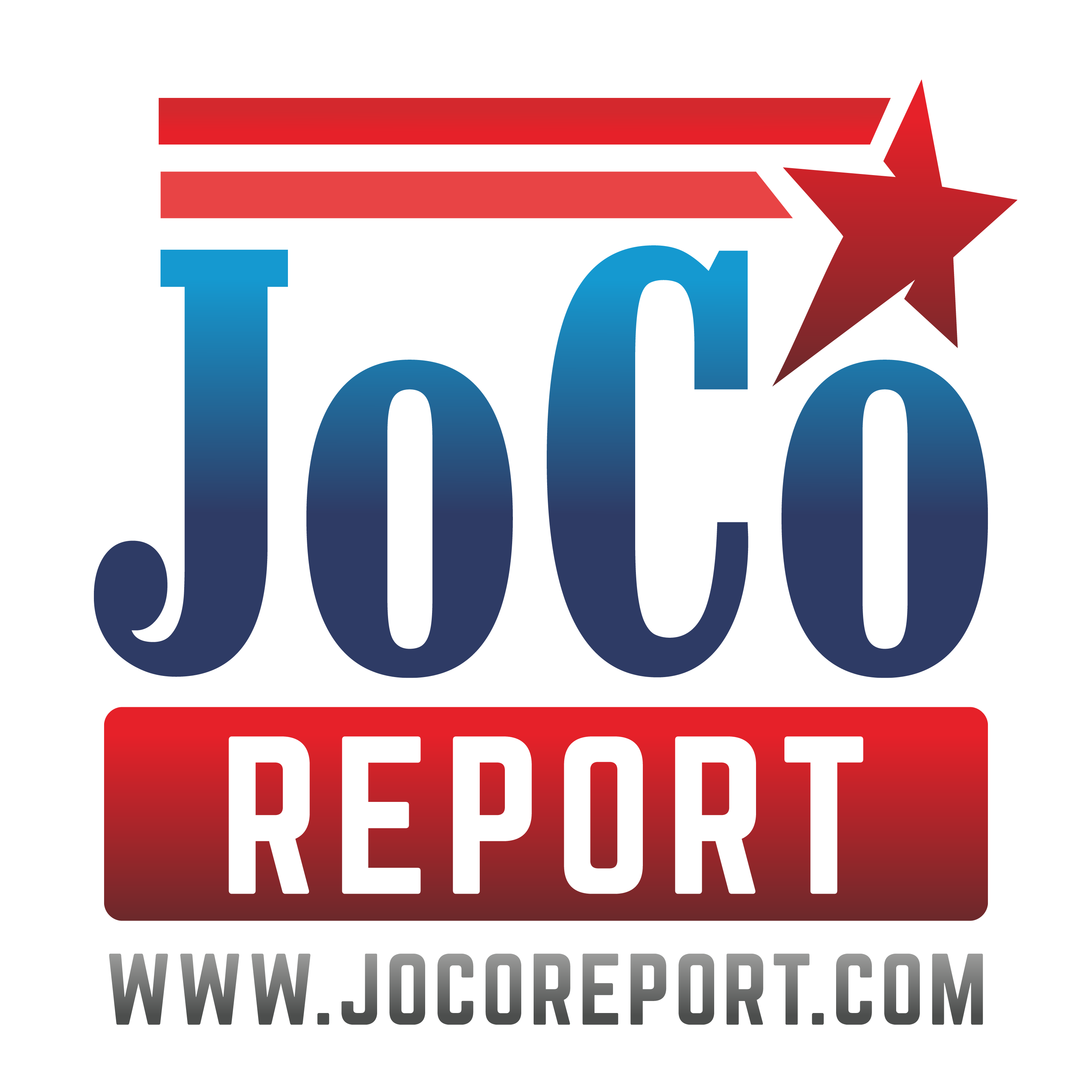 Johnston County Report