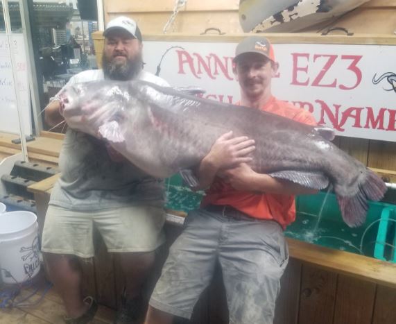 Four Oaks Man Breaks Fishing State Record | JoCo Report