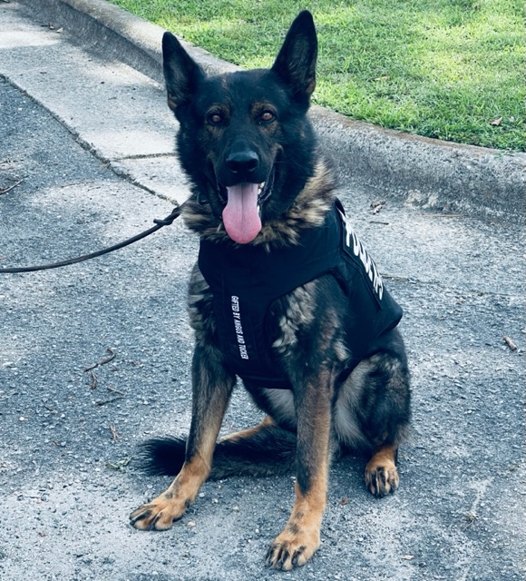 GPD K9s Lark And Reno Receive Donation Of Body Armor | JoCo Report