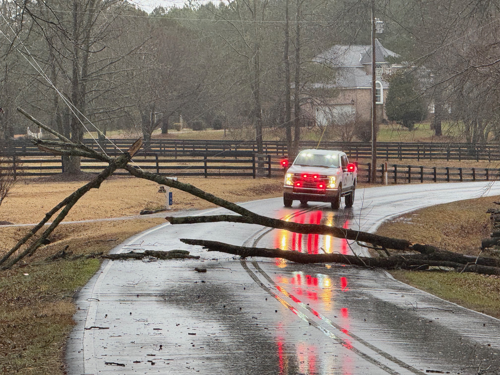 Tree Knocks Down Power Lines | JoCo Report