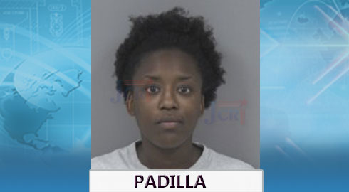 Johnston County Woman Accused Of Filing False Insurance Claims