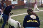 FFA Highlights The Strength Of Agricultural Education In Johnston County