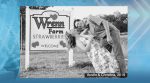 A Love Story Rooted In Agriculture