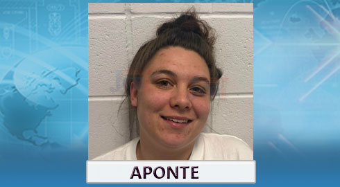 Kenly Traffic Stop Leads To Recovery Of Stolen Firearm