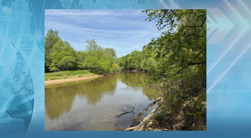 Johnston County Invests $1 Million To Protect 800 Acres Along Neuse River