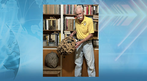 NCDA Confirms First Finding Of Yellow-Legged Hornets, Asks Beekeepers To Watch For Predator Hornet
