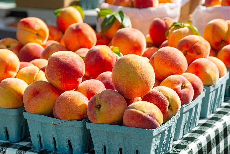 Sweet Summer Tradition Returns With Peach Day At State Farmers Market July 10