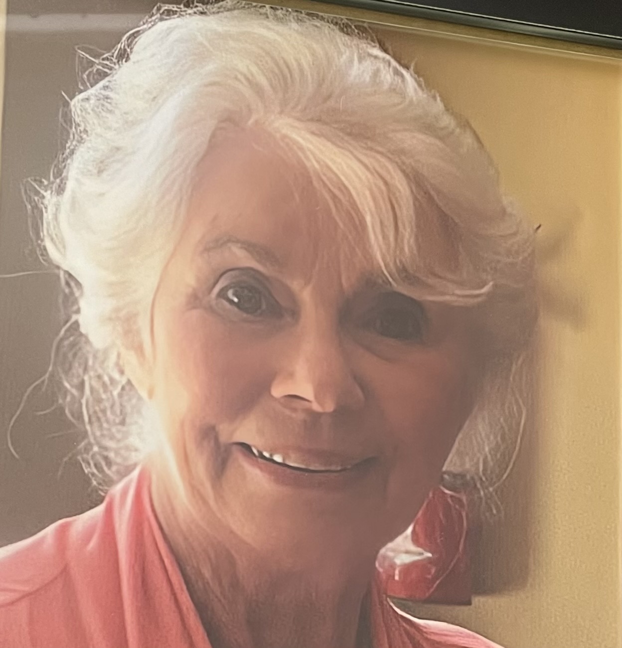 Sylvia Sue Hodges Book